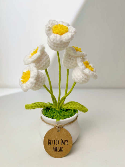 Custom Tag Crochet Lily of the valley Potted Plants Gifts Decor 5 Heads 3024