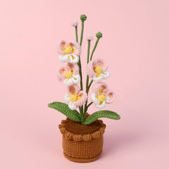 All Crochet Potted Phalaenopsis Orchids Home Decor Gift Ideas