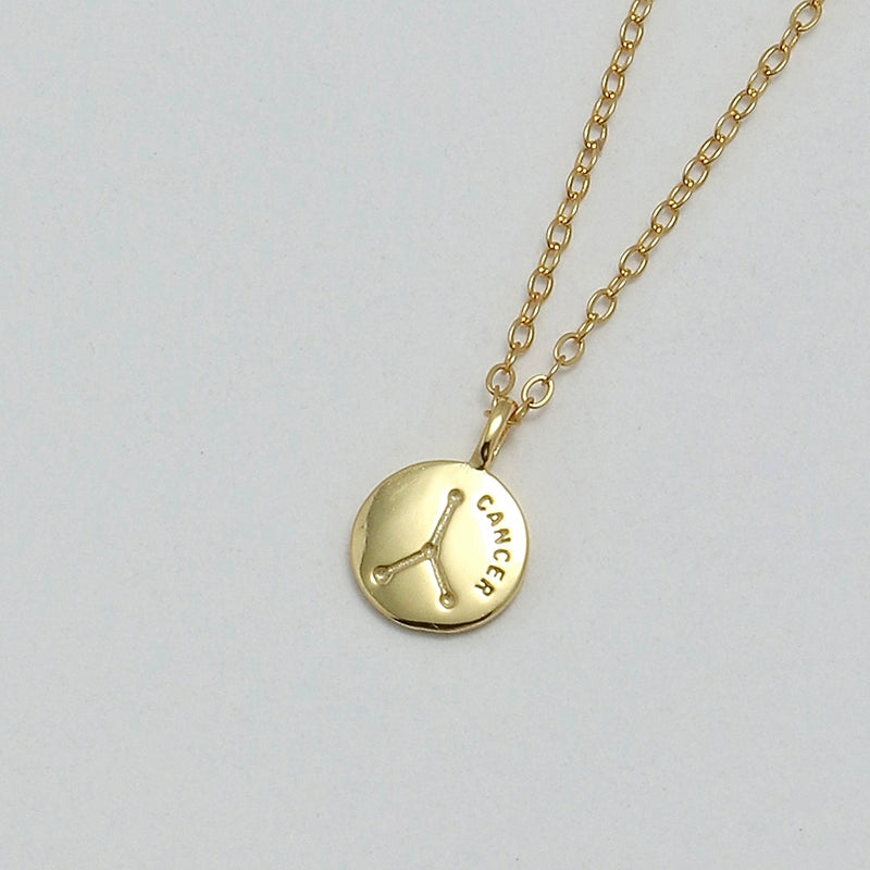 S925 Sterling Silver Mini Coin Zodiac Pendant Necklace