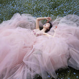 Pink Strapless Engagement Gown – Fairy Tale Princess Dress