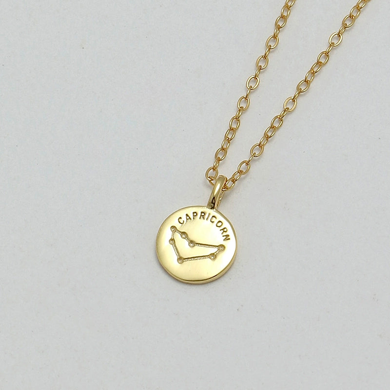 S925 Sterling Silver Mini Coin Zodiac Pendant Necklace