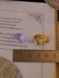 Georgia Earring