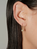 S925 Sterling Silver Gold Ball Cubic Zirconia Stud & Hook Earrings