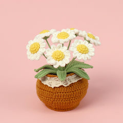 All Crochet Potted 7 Headed Daisy Decor Gift Ideas