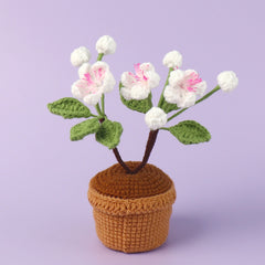 All Crochet Potted Cherry Home Decor Gift Ideas